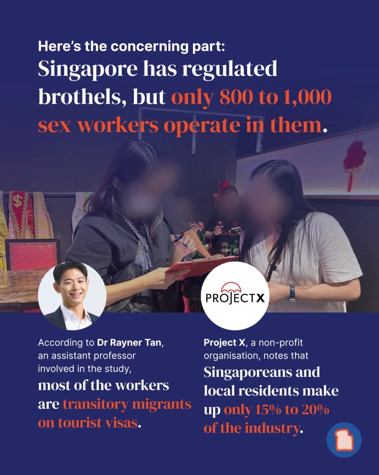 SG sex industry 3.webp