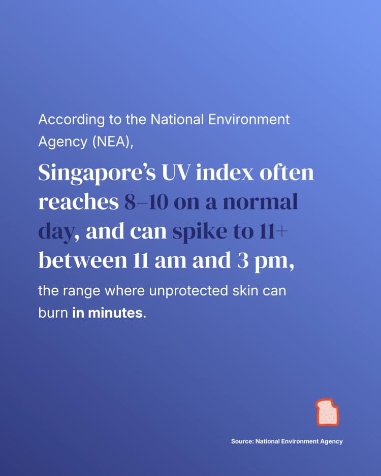 3-7.webp