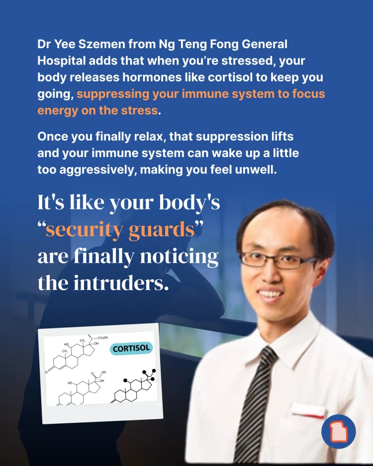 Here’s why you get sick the second your holiday starts 4.webp