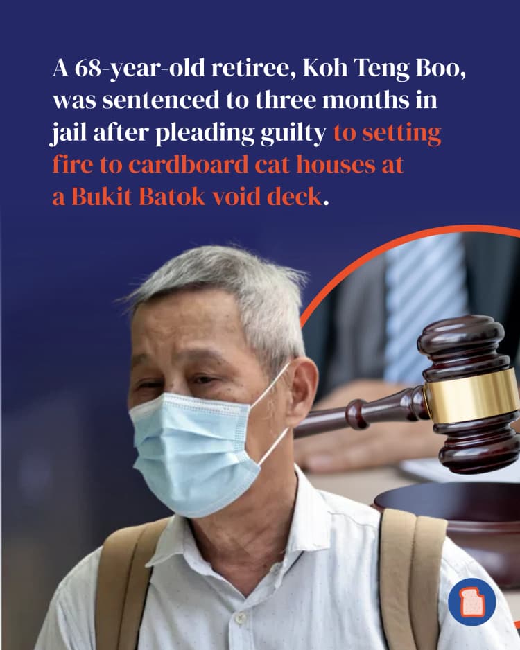050826 Story 2 Man burning cat house - 2.webp