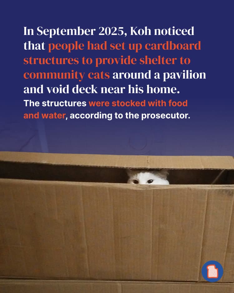 050826 Story 2 Man burning cat house - 3.webp