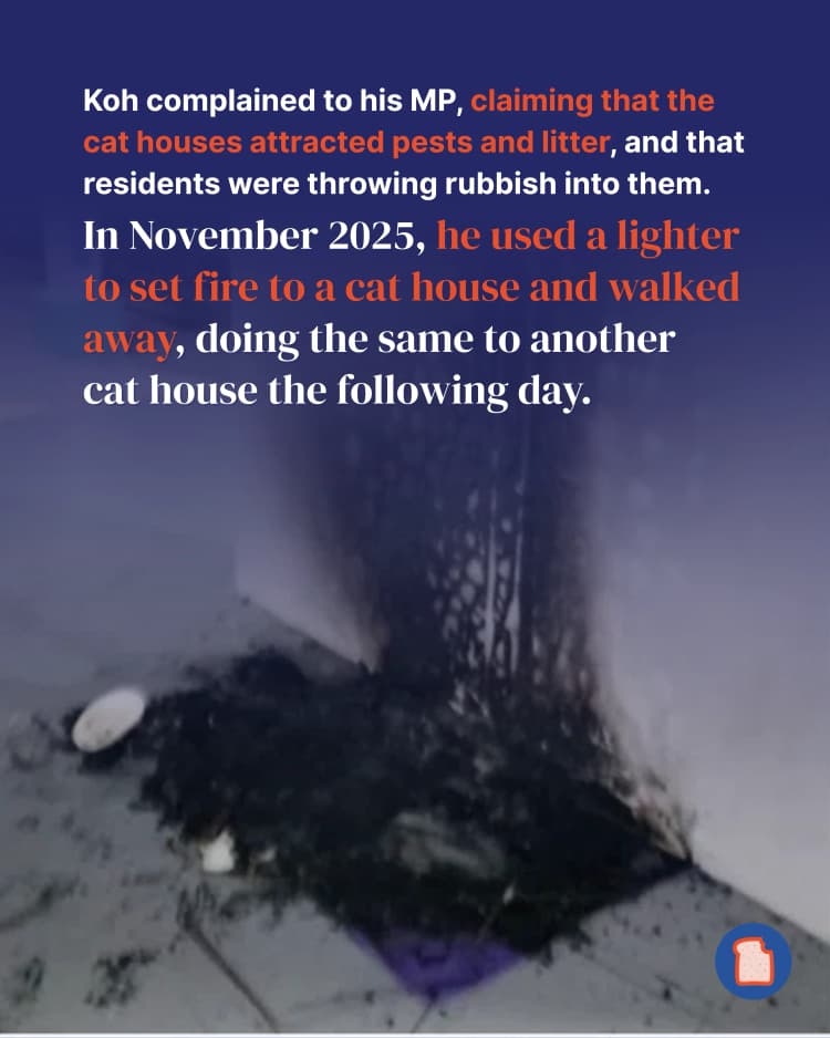 050826 Story 2 Man burning cat house - 4.webp
