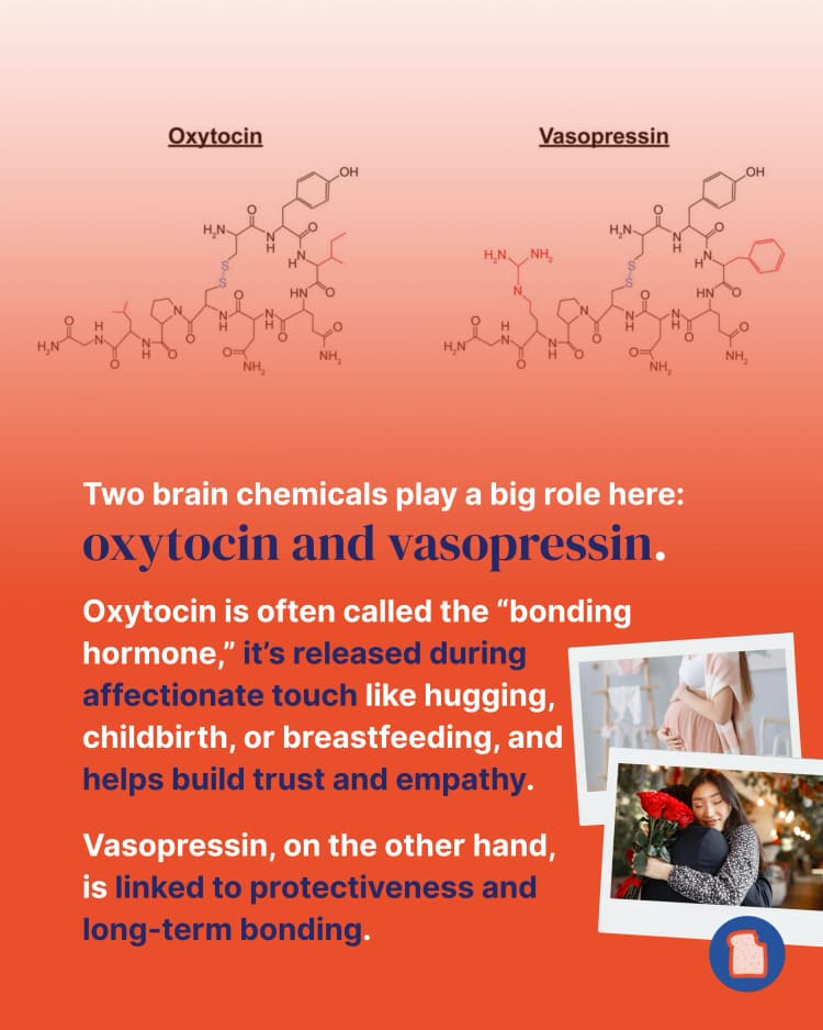 How we can use science to beat the loneliness pandemic 3.webp