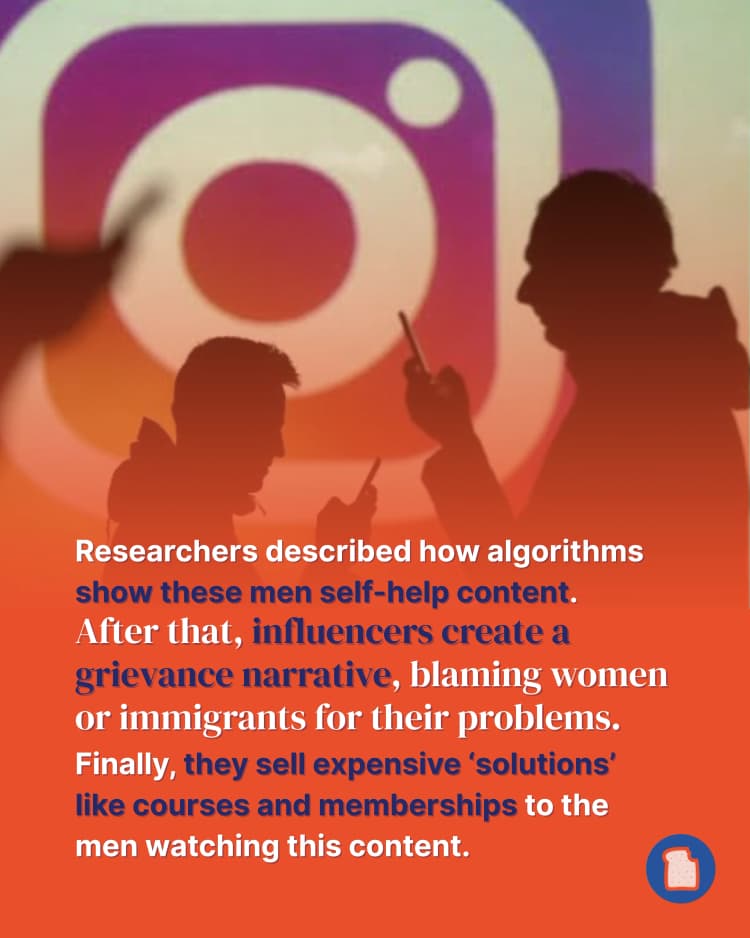 Manosphere industry 5.webp