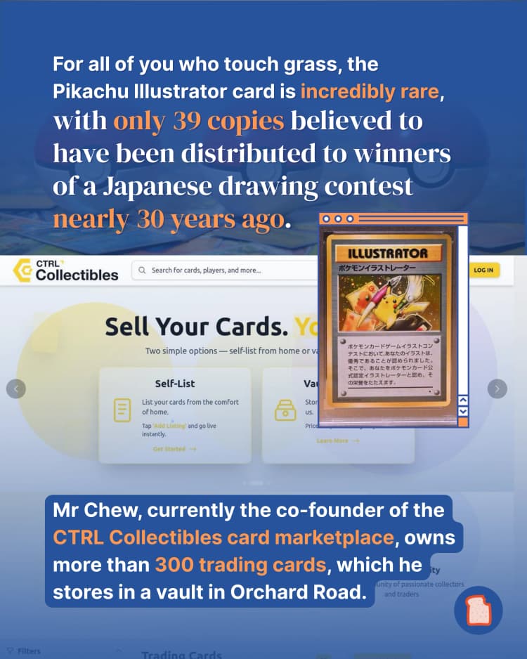 Pokemon card collector 3.webp