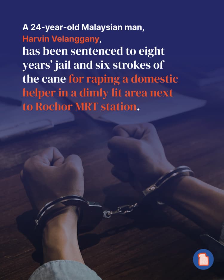 Rochor rape 2.webp