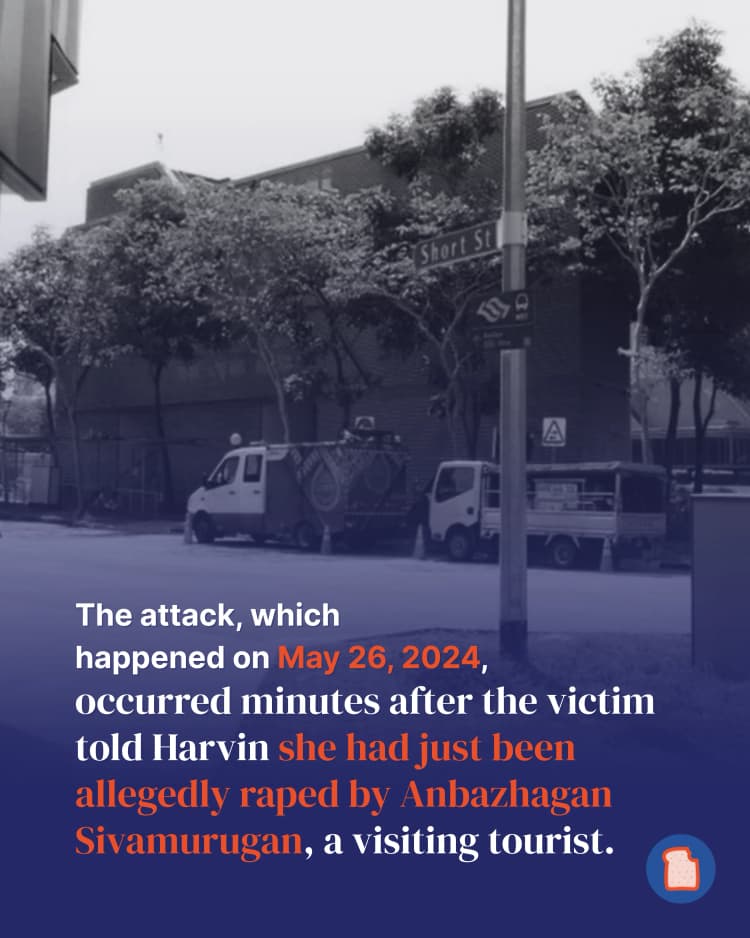 Rochor rape 3.webp