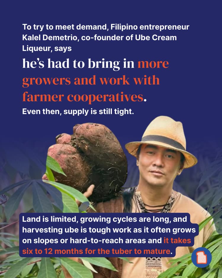 Your ube obsession might be causing chaos for its farmers - here’s why 5.webp
