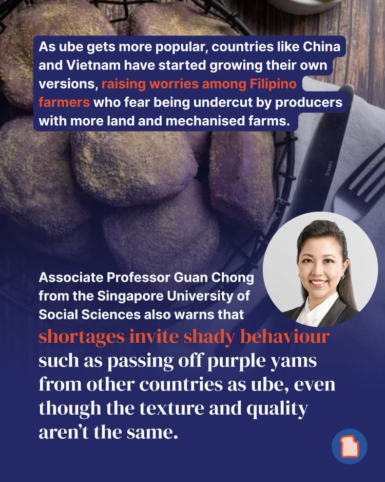 Your ube obsession might be causing chaos for its farmers - here’s why 6.webp