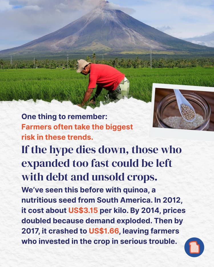 Your ube obsession might be causing chaos for its farmers - here’s why 7.webp
